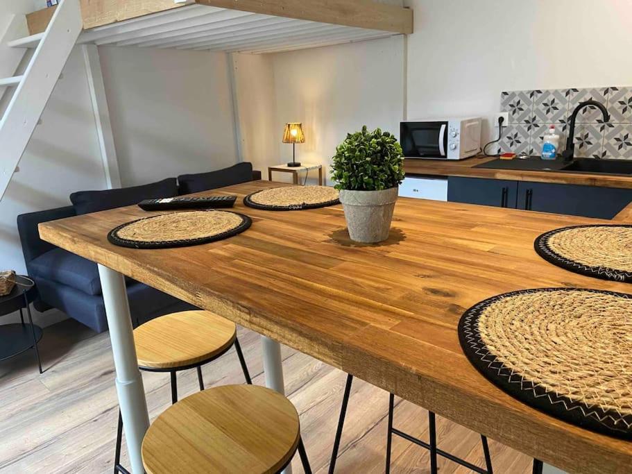 Charmant Studio Vierzon Extérieur photo