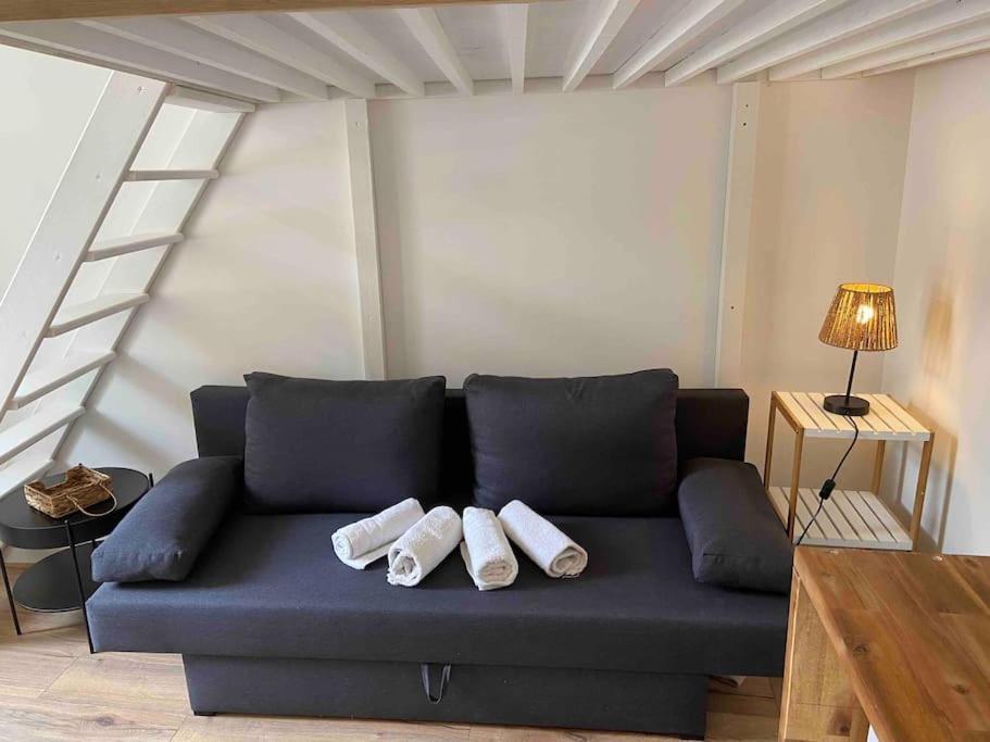 Charmant Studio Vierzon Extérieur photo